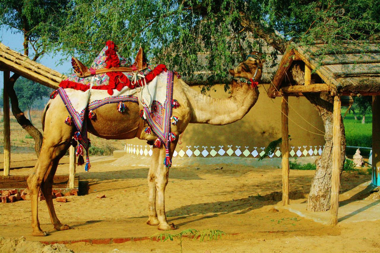 Desert Nights Mandāwa 外观 照片